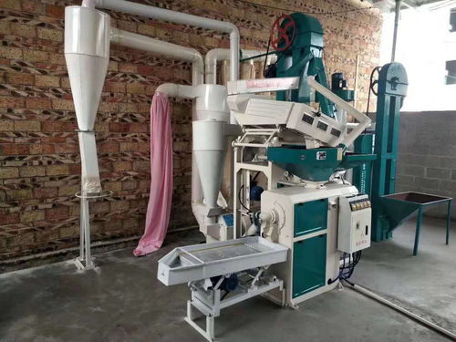 新型組合碾米機 小空間大作為，平穩運行鑄就精品