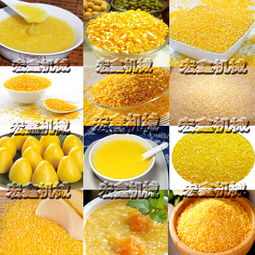 長(zhǎng)治家用玉米深加工機(jī)械與碾米機(jī)生產(chǎn)廠家指南